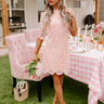 Claim To Love Crochet Dress in Pink Image - 1