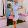 Fact Or Fiction Chambray Dress Image - 1
