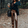 The Hudson High Waist Metallic Pants Image - 1