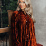 Amazing Views Velvet Top in Dark Cinnamon Image - 1