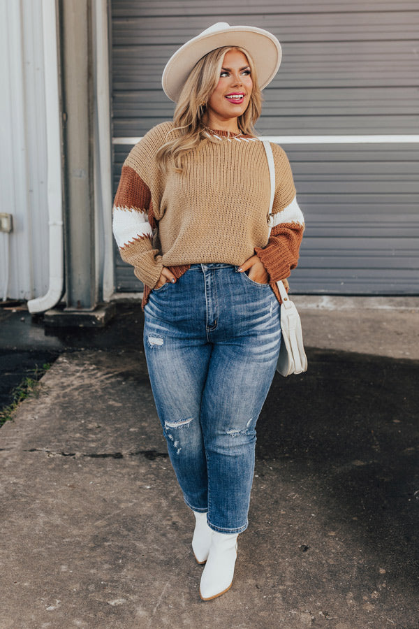 Brown Sugar Smiles Knit Sweater Curves Image - 1